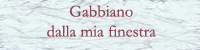 gabbiano
