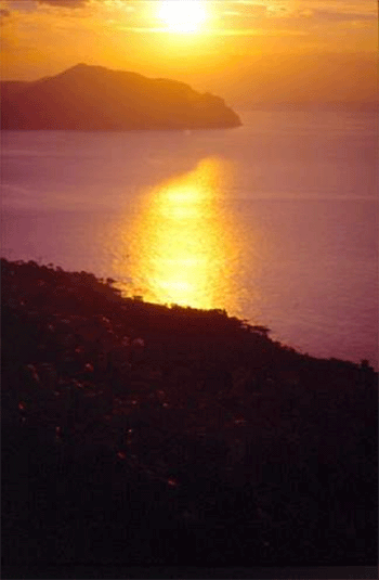 alba3