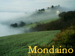 mondainonebbia