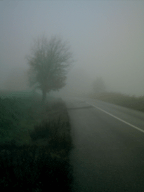 nebbia