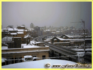 neve