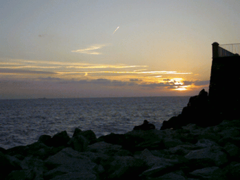 nervi