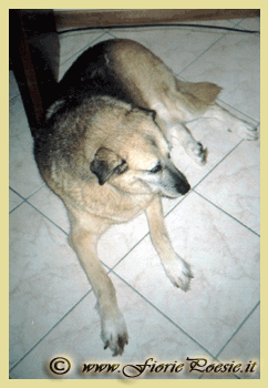 Martina