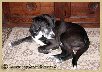 Penny in Sala