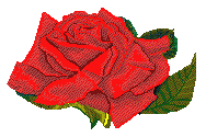 redrose