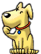 dog wonders