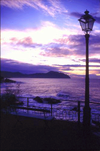 alba1