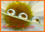 Poesia: Due Gocce d'Acqua