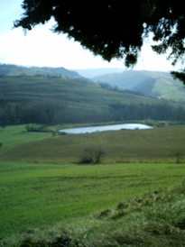 lago