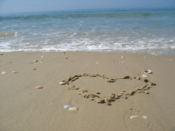 cuore