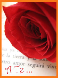 Canzone: A Te